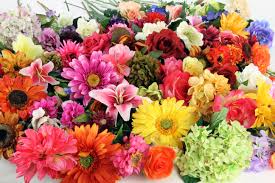 Artificial Flower Shops